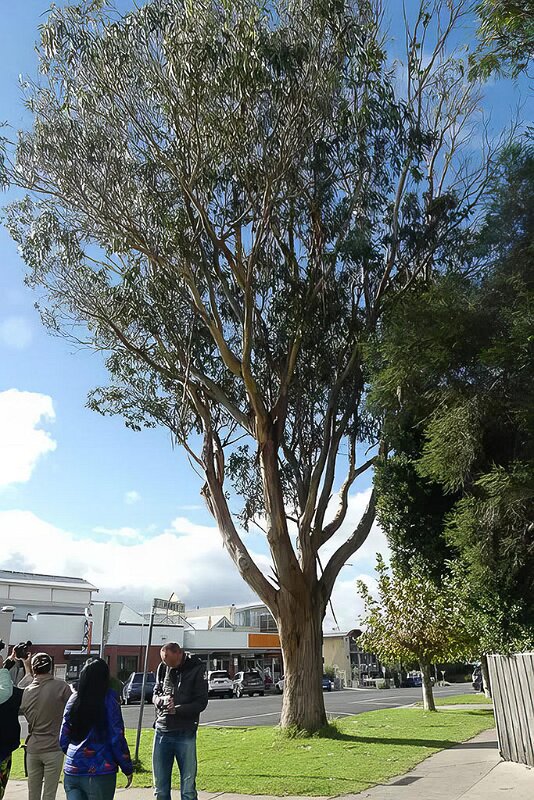 Australien_2019_03