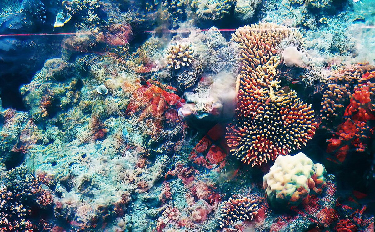 Australien_2019_21