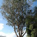 Australien_2019_03