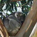 Australien_2019_04