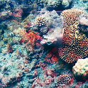 Australien_2019_21