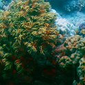 Australien_2019_22