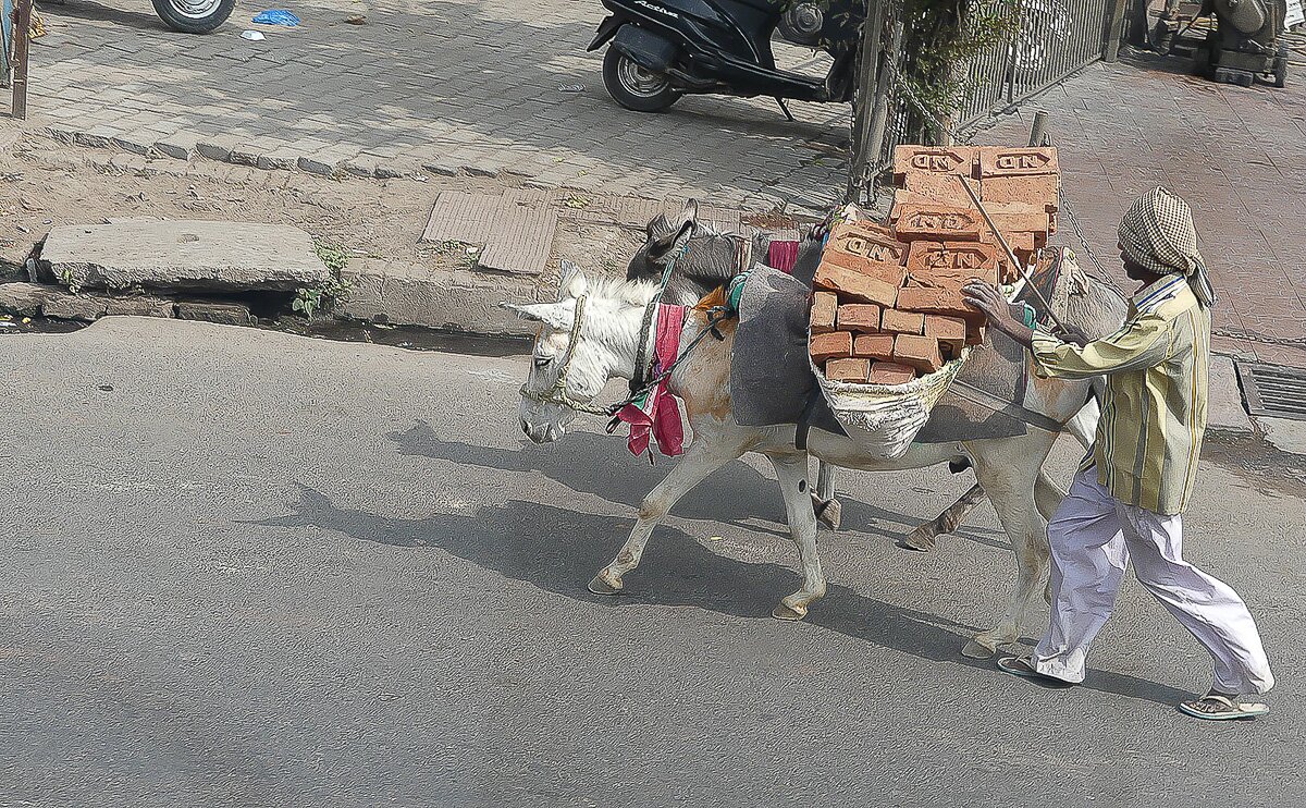 Indien_2016_50