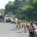Indien_2016_44
