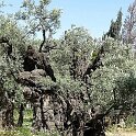Israel_202313