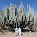 Mexiko_2016_27