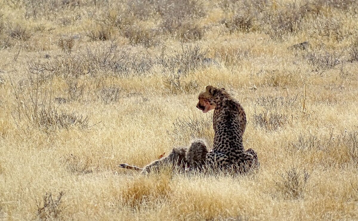 Namibia_2022_11