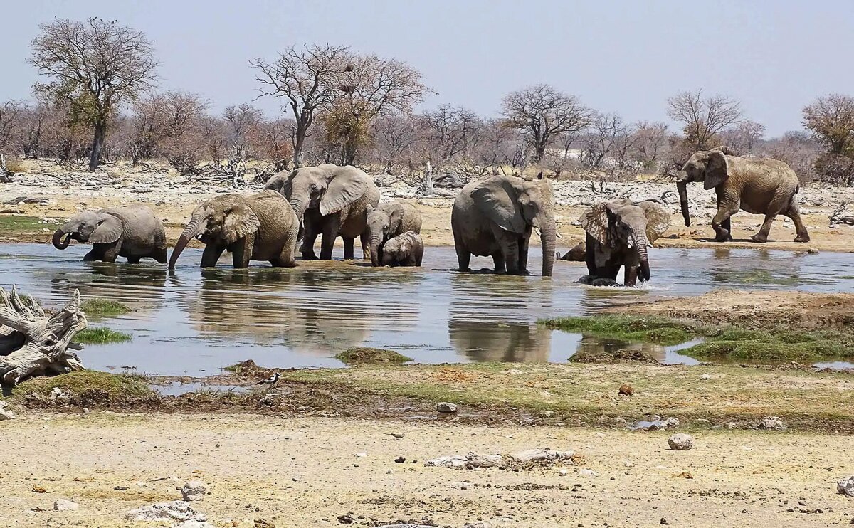 Namibia_2022_12