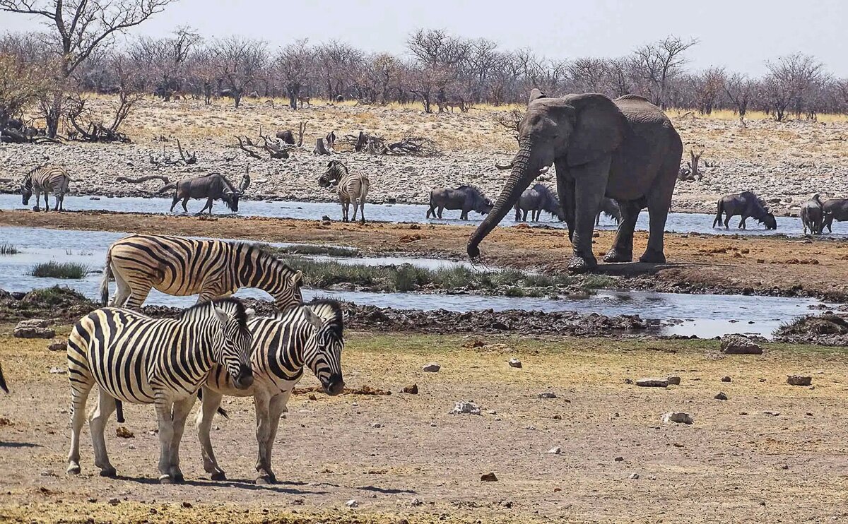 Namibia_2022_14