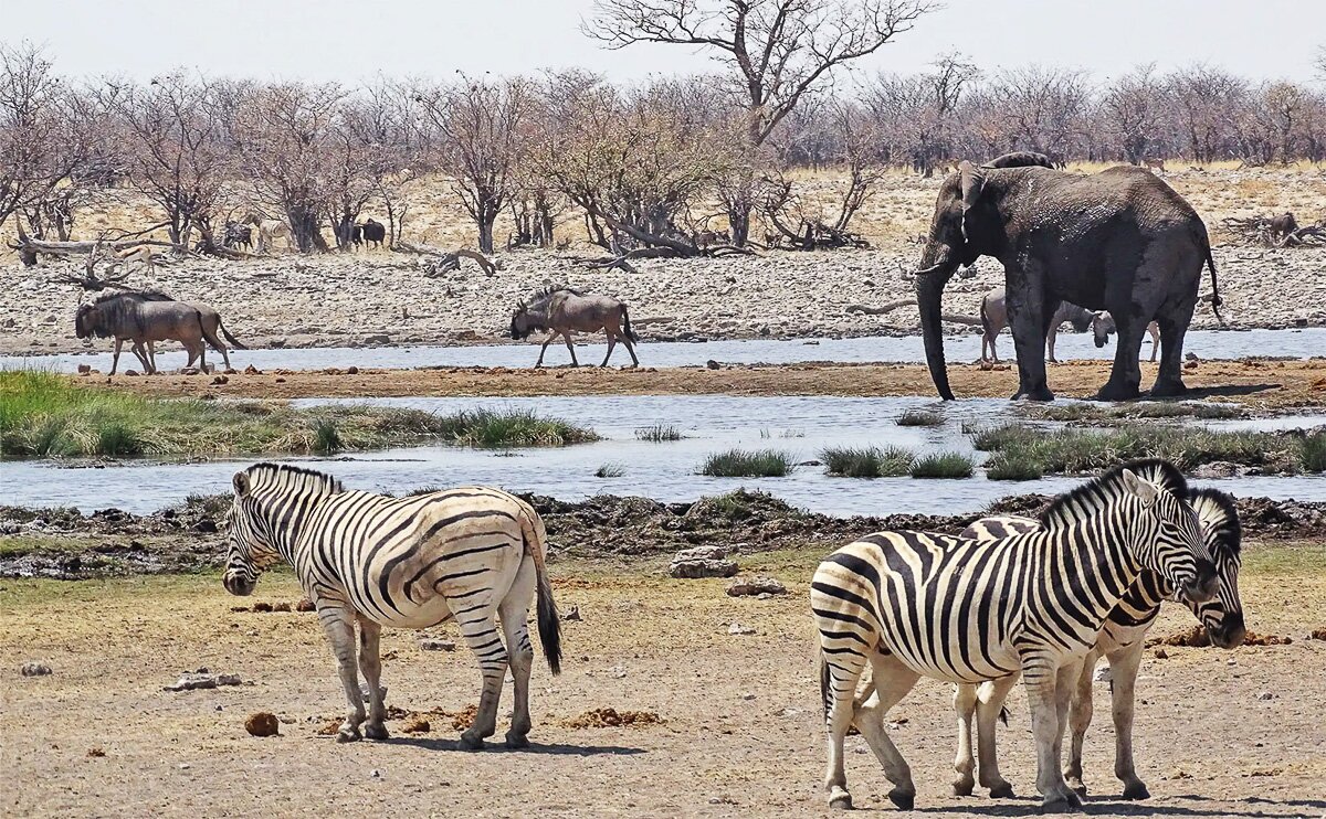 Namibia_2022_15