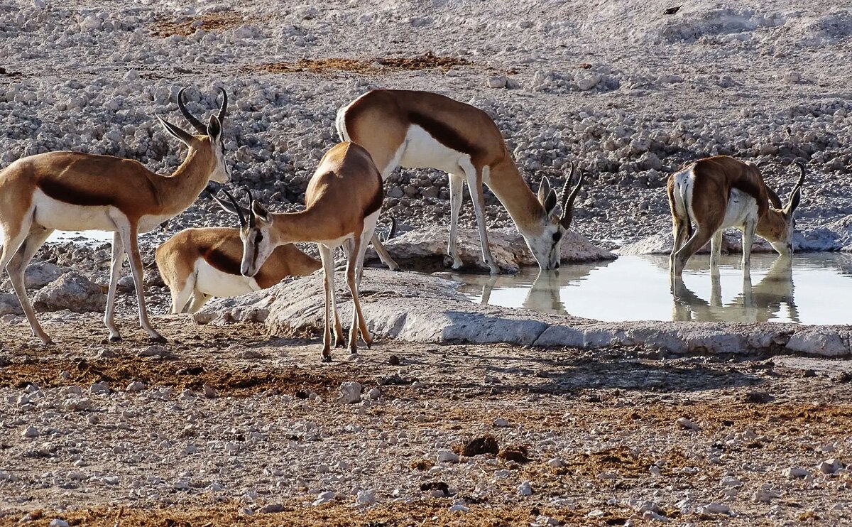 Namibia_2022_16