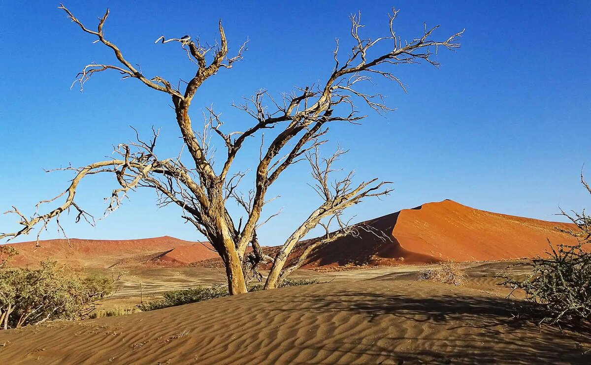 Namibia_2022_21