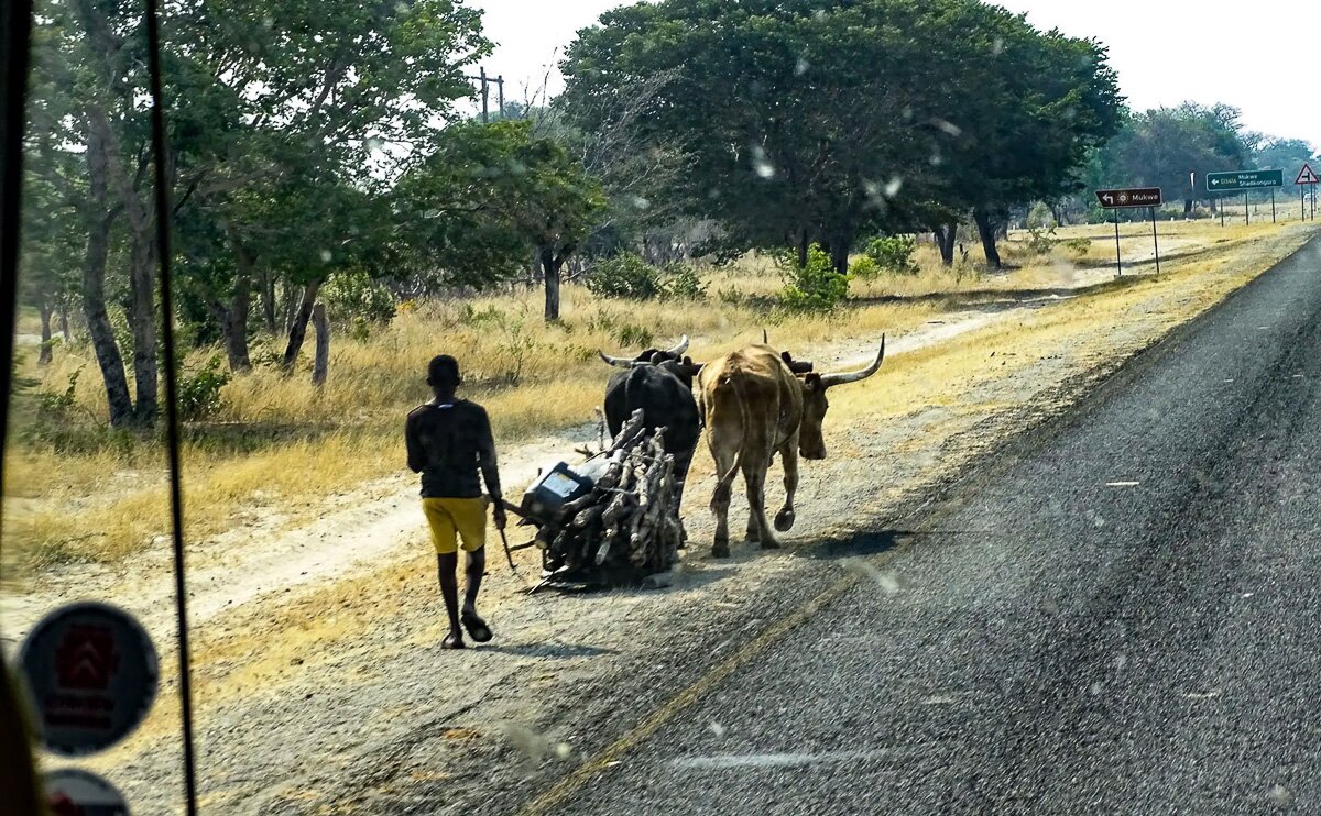 Namibia_2022_6