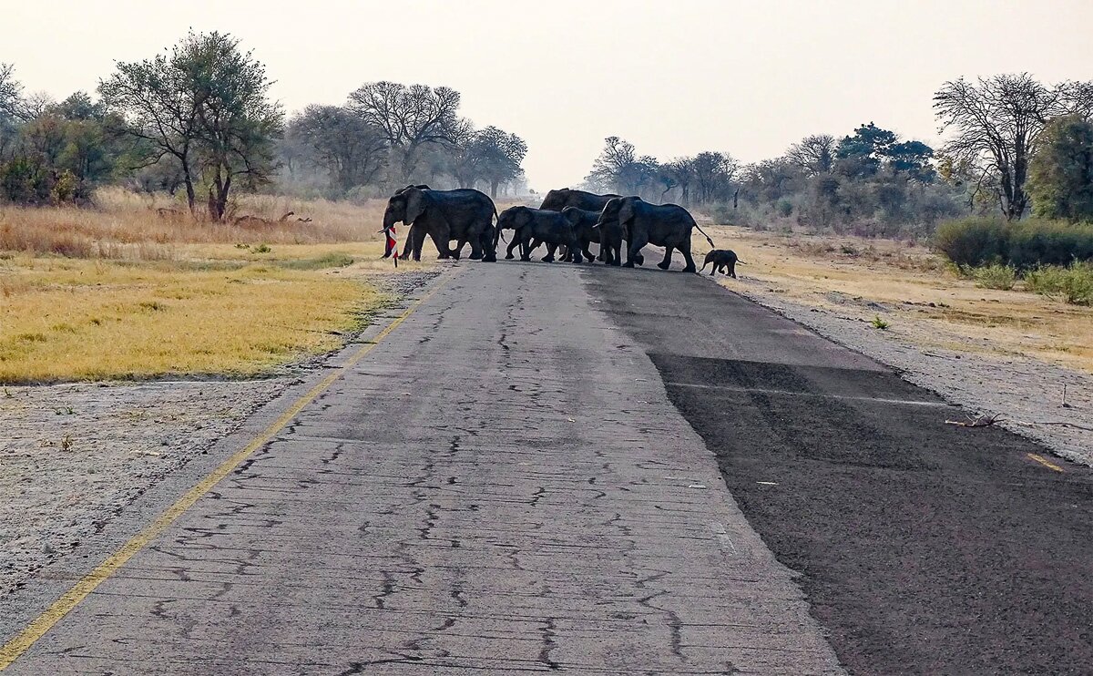 Namibia_2022_7