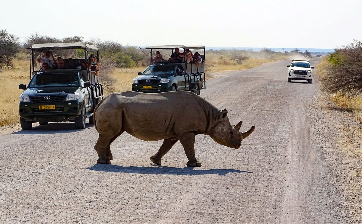 Namibia_2022_8