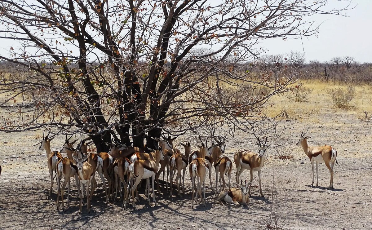 Namibia_2022_9