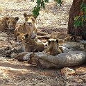 Namibia_2022_10