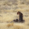 Namibia_2022_11