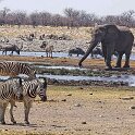 Namibia_2022_14
