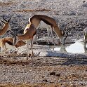 Namibia_2022_16