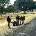 Namibia_2022_6