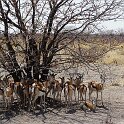 Namibia_2022_9