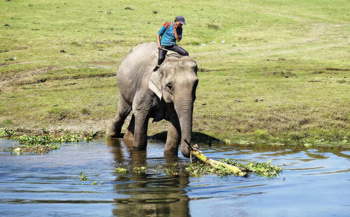 Nepal_2020_44
