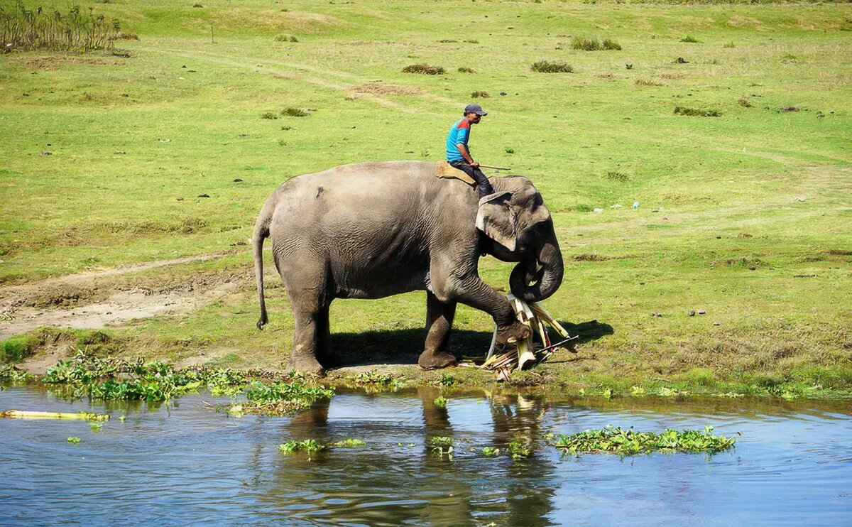Nepal_2020_45