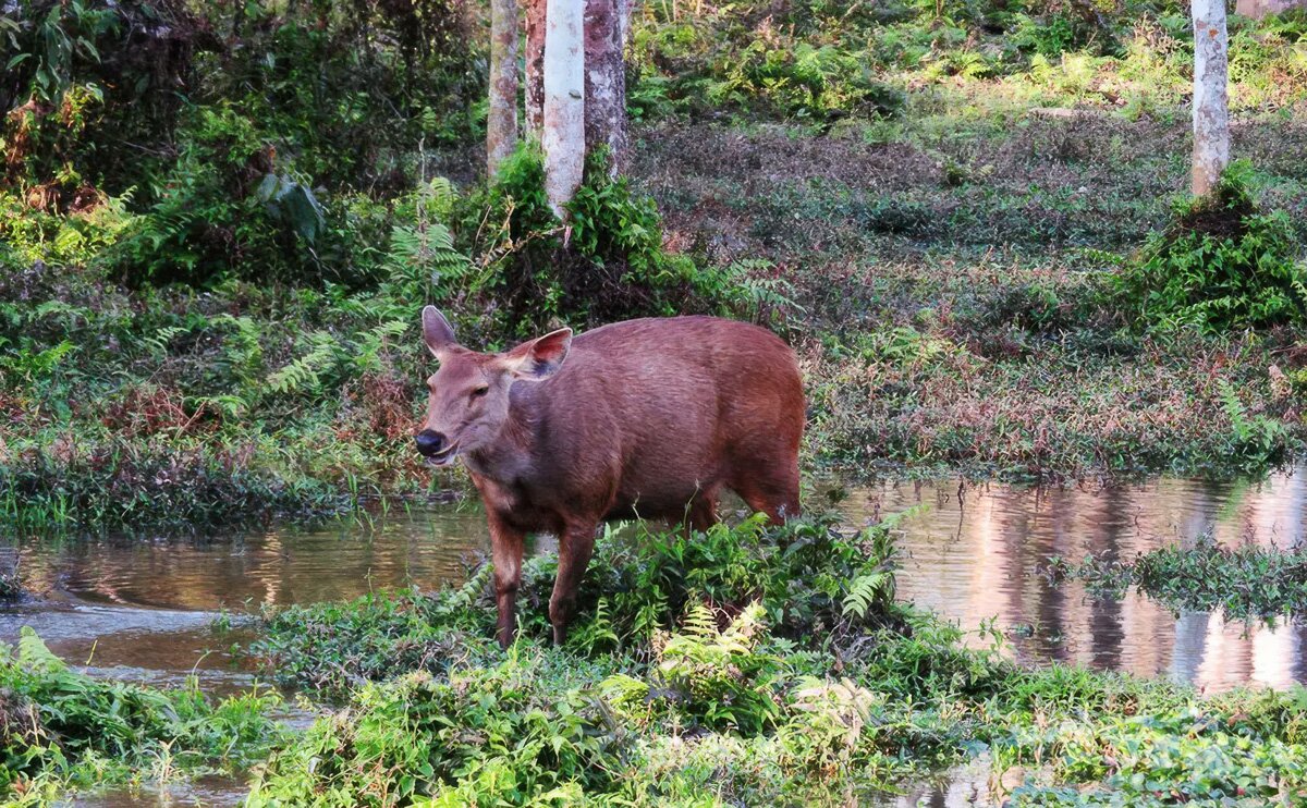 Nepal_2020_49