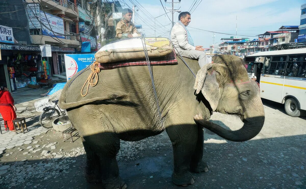 Nepal_2020_54