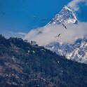 Nepal_2020_16
