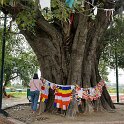 Nepal_2020_41