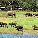 Nepal_2020_43