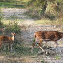 Nepal_2020_46