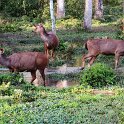 Nepal_2020_47