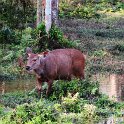 Nepal_2020_49
