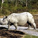 Nepal_2020_52