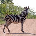 Su_dafrika_2012_20