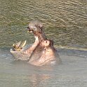 Su_dafrika_2012_41