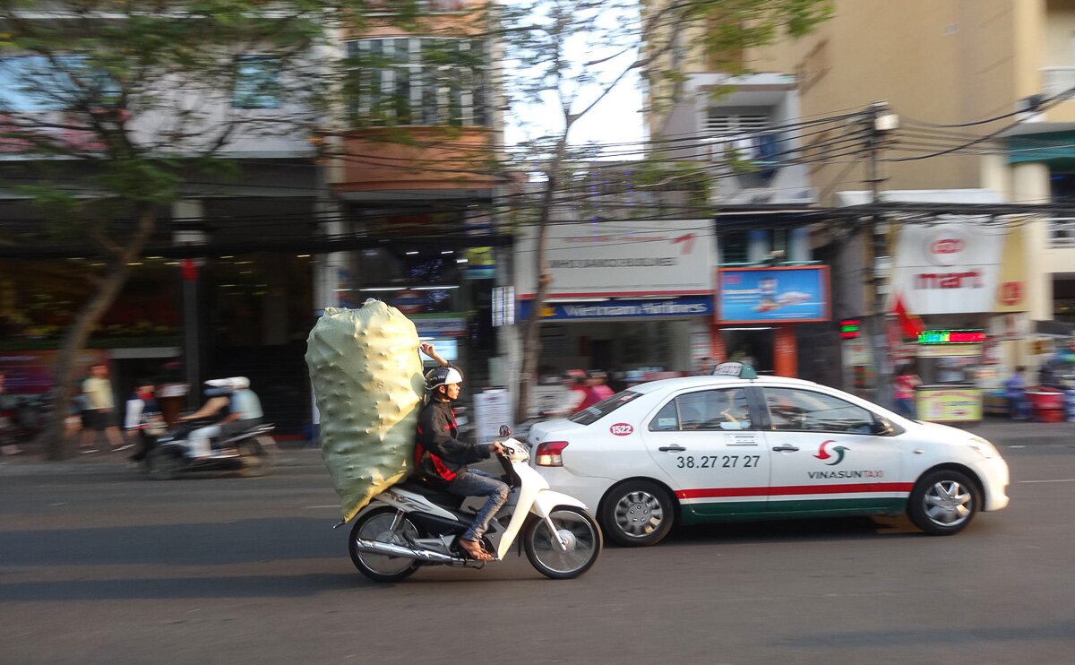 Vietnam_2014_24
